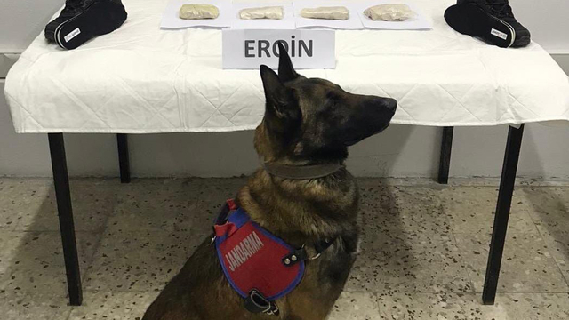 Ayakkabı tabanına gizlediği eroin ile yakalanan şüpheli tutuklandı