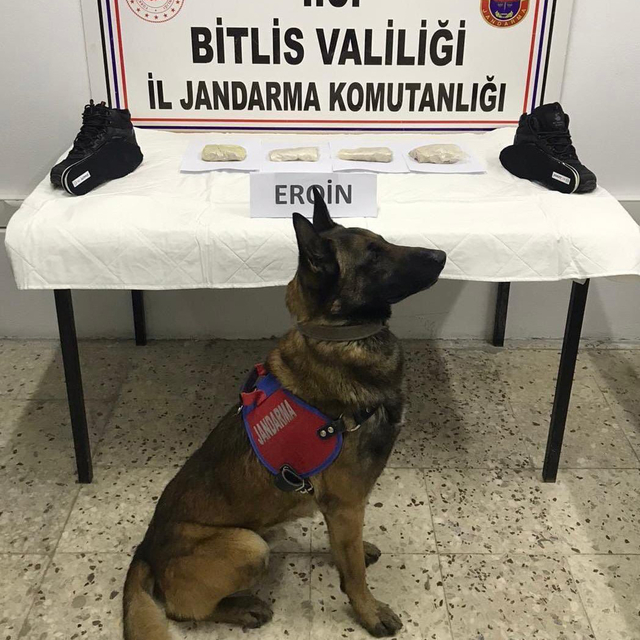 Ayakkabı tabanına gizlediği eroin ile yakalanan şüpheli tutuklandı