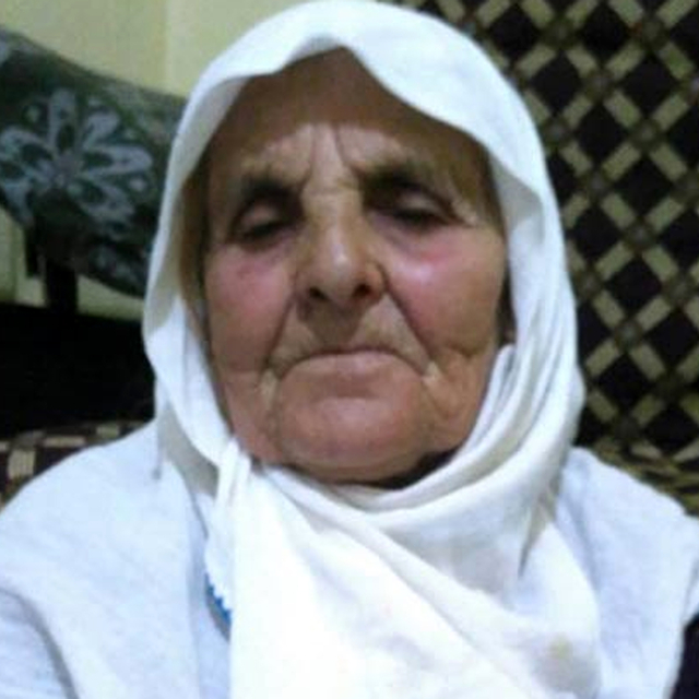 Saldırdıkları kadını öldüren köpeklerin sahibine 4 yıl 5 ay hapis