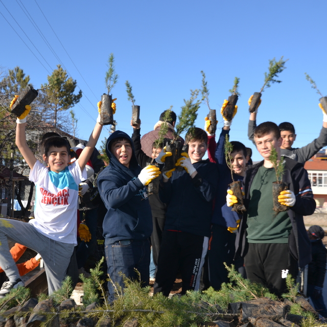 Şarkışla'da mahalle muhtarı 40 bin çam fidanı dağıttı