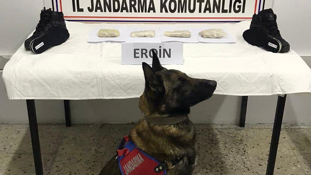 Bitlis'te ayakkabı tabanına gizlenmiş 500 gram eroin ele geçirildi