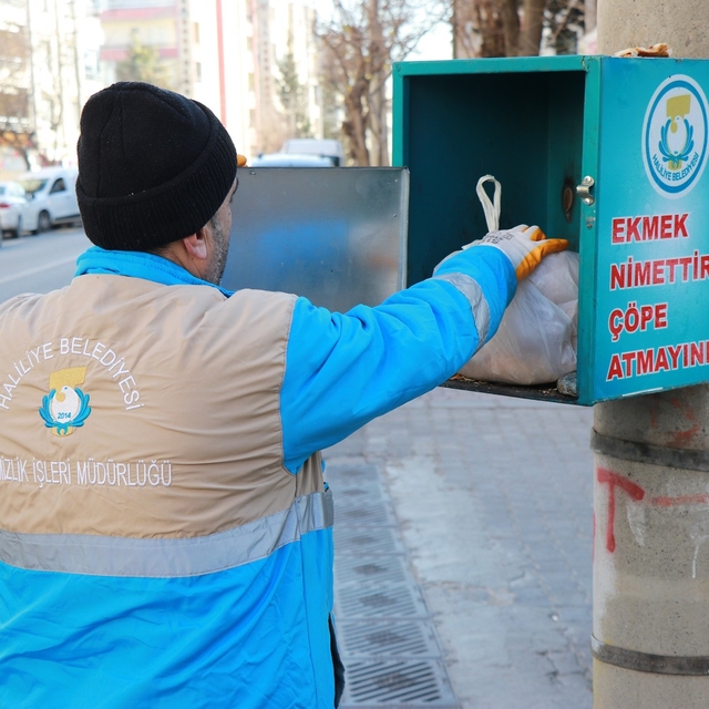 Haliliye'de toplanan bayat ekmekler sahipsiz hayvanlara yemek oluyor