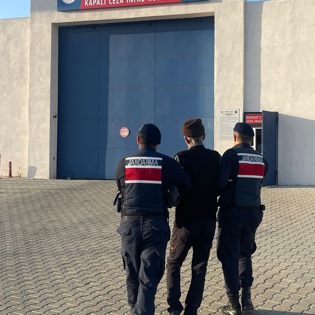 Antalya'da saldırdıkları kadının ölümüne yol açan köpeklerin sahibine 4 yıl...