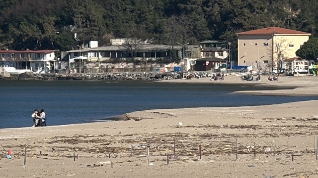 Galeri