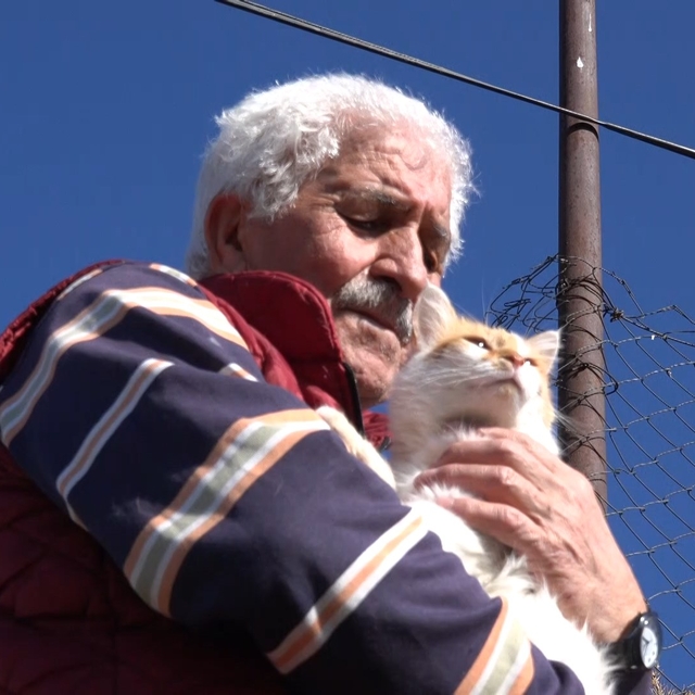 Emekli olup köyüne yerleşti, 29 köpek ve 30'dan fazla kediye bakıyor