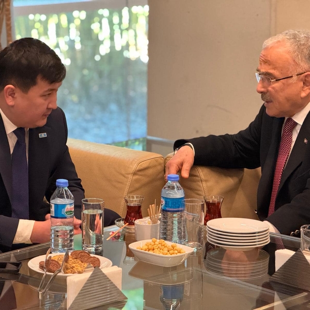 Ordu Büyükşehir Belediye Başkanı Güler ile Başkonsolos Amankul bir araya ge...