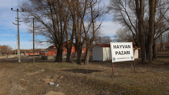 Orta'da hayvan pazarı şap hastalığıyla mücadele kapsamında süresiz olarak kapatıldı