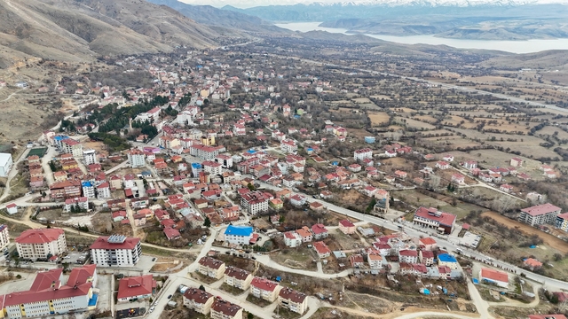 Tunceli'de 114 hayvanın öldüğü Pertek ilçesi 30 gün karantinaya alındı