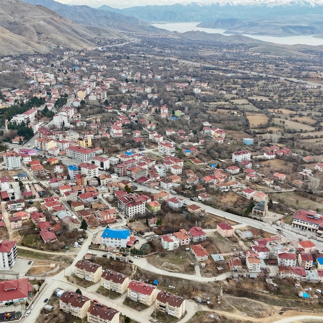 Tunceli'de 114 hayvanın öldüğü Pertek ilçesi 30 gün karantinaya alındı