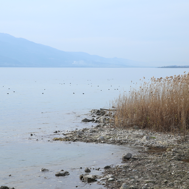 Sapanca Gölü çalışmalarla korunacak