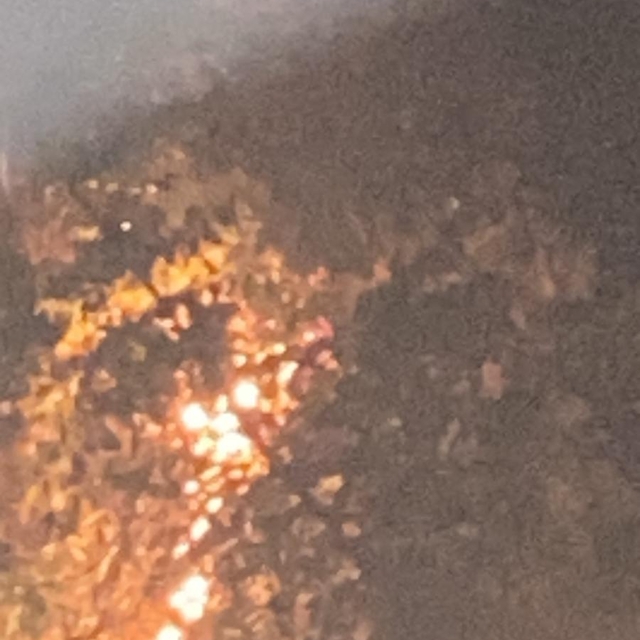 Rize'de anız ateşi ormana sıçradı