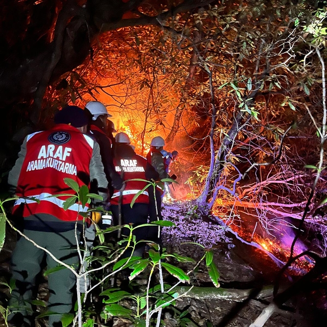 Rize'de anız yangını ormana sıçradı; 15 dönüm alan zarar gördü