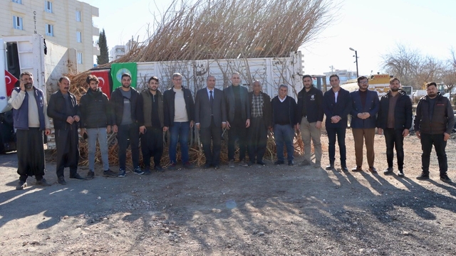 Şanlıurfa'da ipek böceği üreticilerine dut fidanı desteği