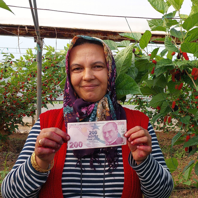 Komşusunun serasından meyve yedi, yaprakların arasına para bıraktı