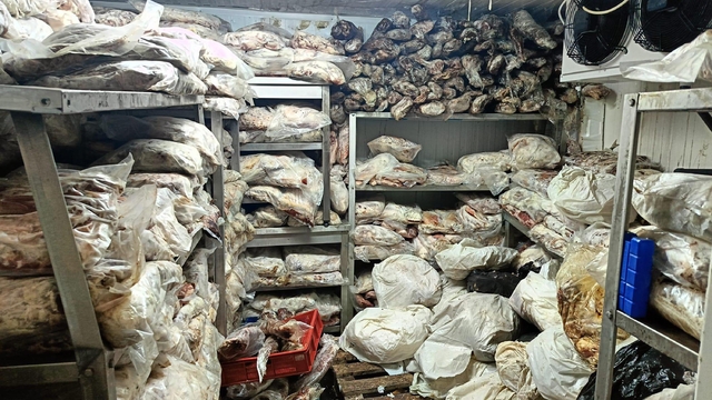 İzmir'de 3,8 ton bozuk et ve balık ele geçirildi