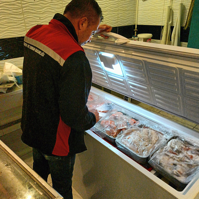 İzmir'de kaçak ve bozuk 2,8 ton kırmızı et ve 1 ton balık ele geçirildi