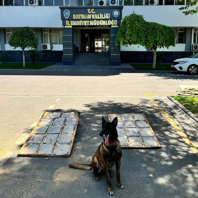 Yolcu otobüsündeki uyuşturucuyu 'Linda' buldu