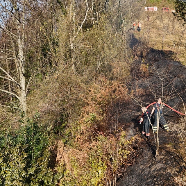 Trabzon'da örtü yangını; 2 dönüm alan zarar gördü