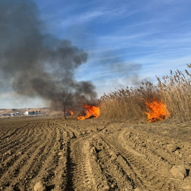 Batman'da sazlık yangını söndürüldü
