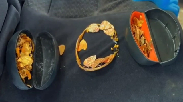 Denizli'de Helenistik döneme ait paha biçilemeyen altın kral tacı ele geçirdi