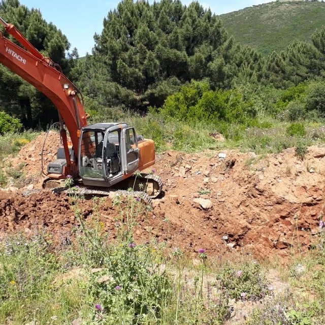 19 yıl önce kaybolan Yasemin'in öldürülüp, ormana gömüldüğü ortaya çıktı