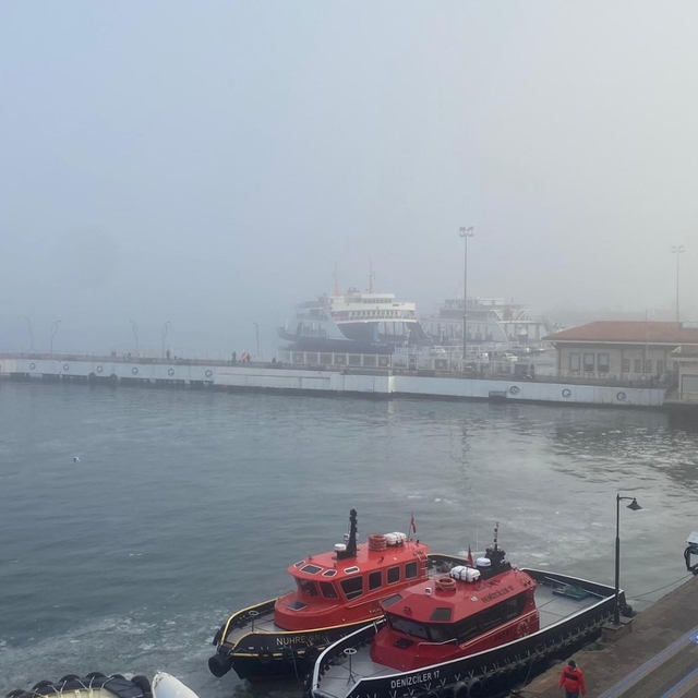 Çanakkale Boğazı'nda gemi trafiği, sis nedeniyle askıya alındı