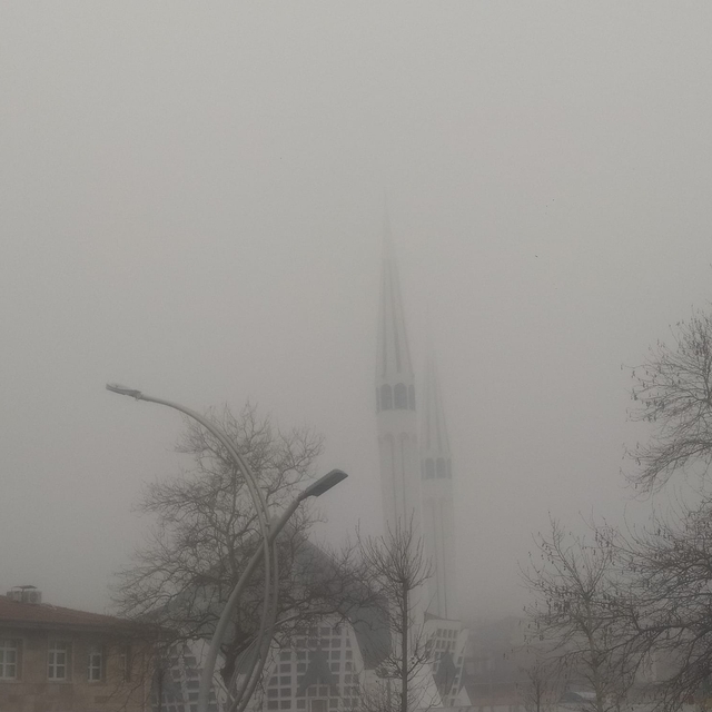 Düzce'den kısa kısa