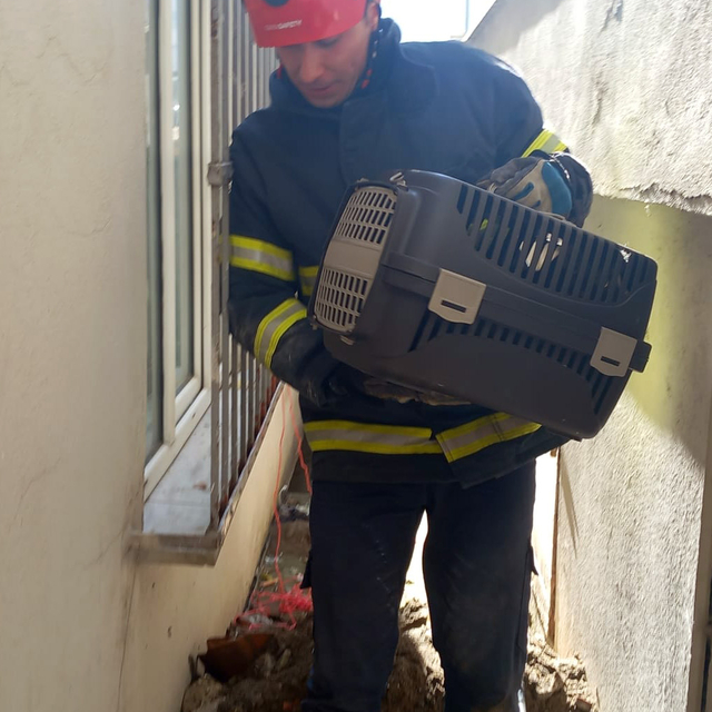 Ordu'da düştüğü yerde mahsur kalan kediyi itfaiye ekipleri kurtardı