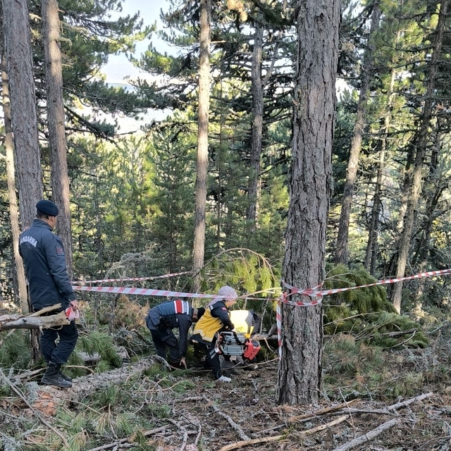 Kütahya'da kestiği ağacın altında kalan işçi öldü