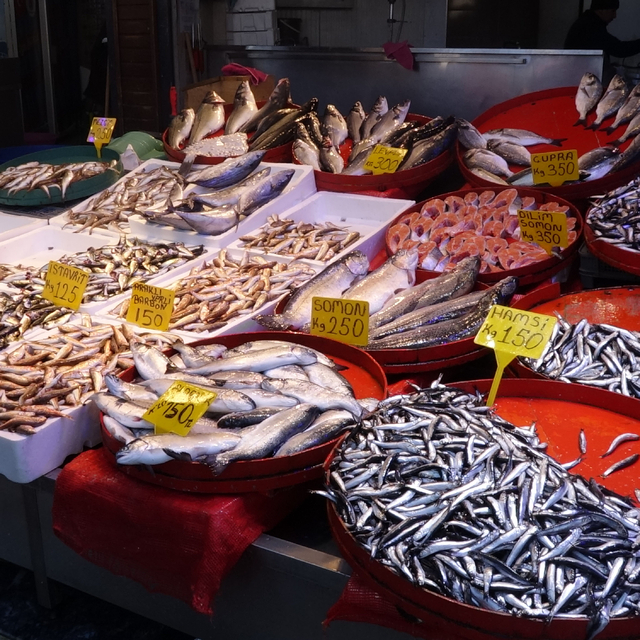 Trabzon'da palamut, yerini diğer balık çeşitlerine bıraktı