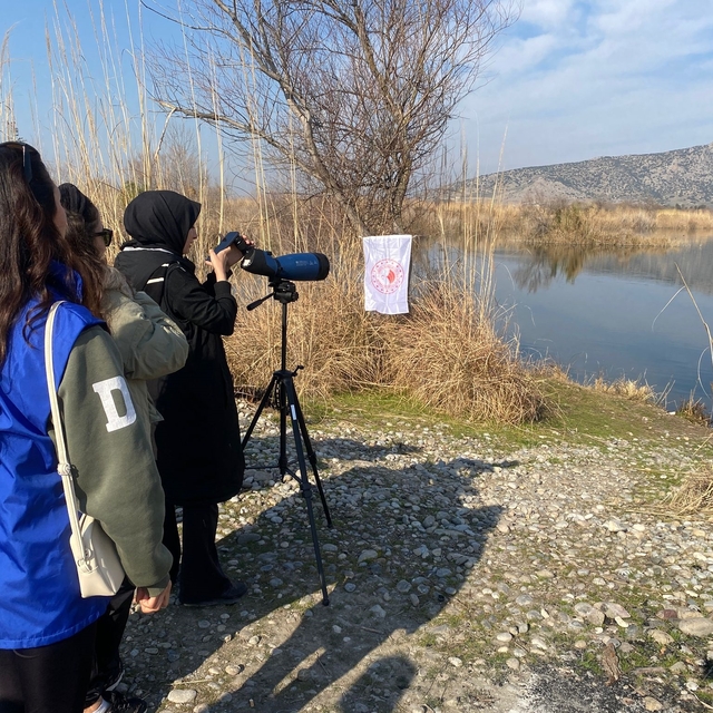 Kastabala Sulak Alanı'nda kuş gözlemi