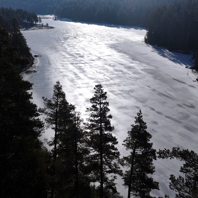 Bolu'da Aladağ Göleti'nin yüzeyi buz tuttu