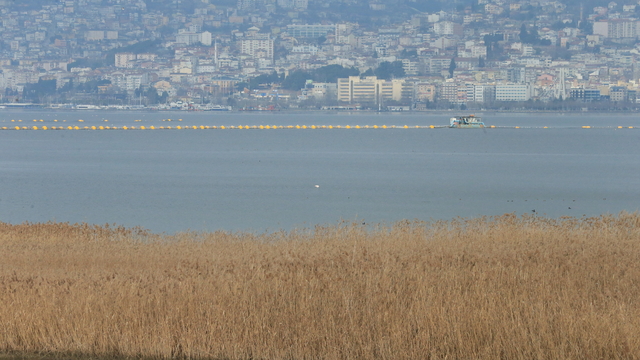 Kocaeli'de Dünya Sulak Alanlar Günü flamingo gözlem şenliğiyle kutlandı
