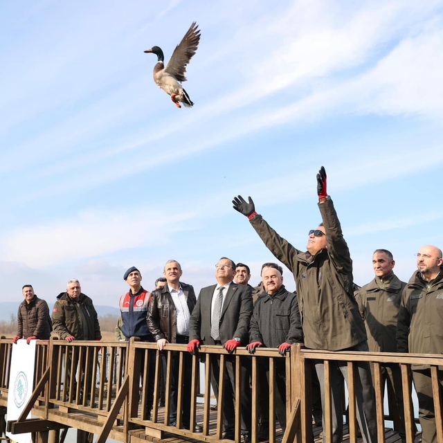 Batı Karadeniz'in kuş cenneti Efteni Gölü'nde "Dünya Sulak Alanlar Günü" et...