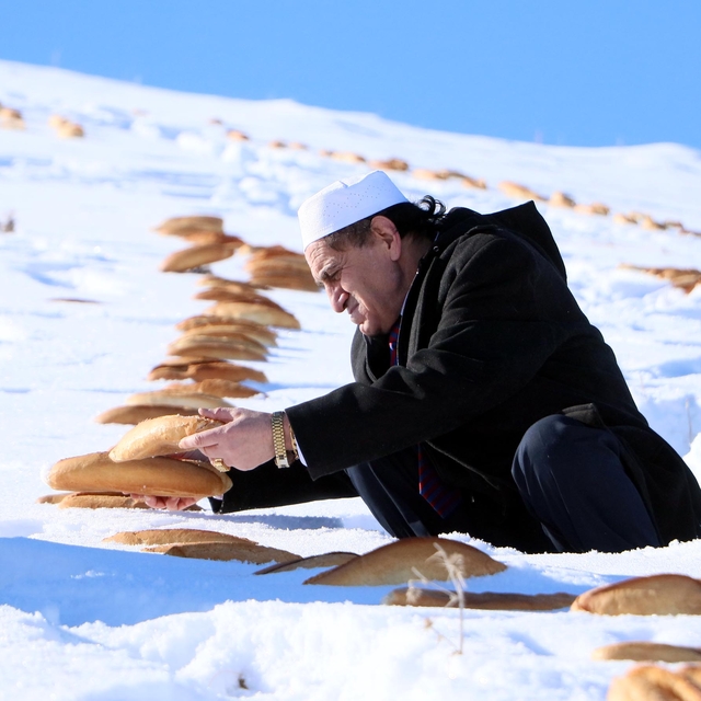 'Kaza bela defolsun' diye karla kaplı doğaya yüzlerce ekmek bıraktılar