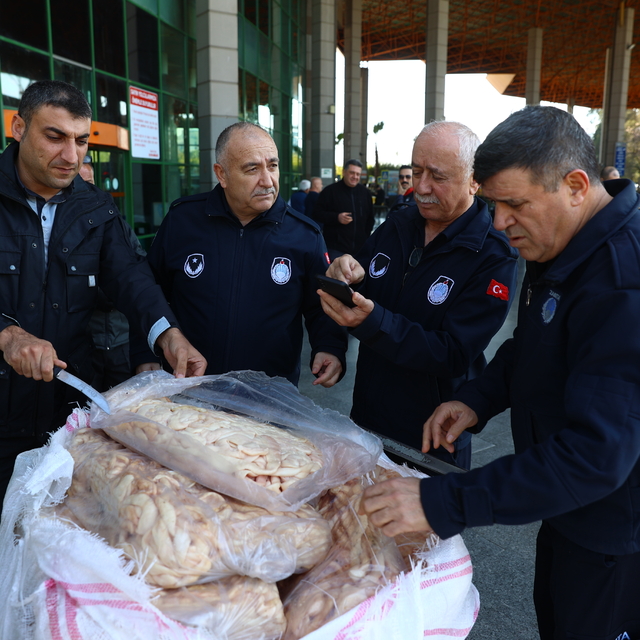 Antalya'da usulsüz taşınan 300 kilogram sakatata el konuldu