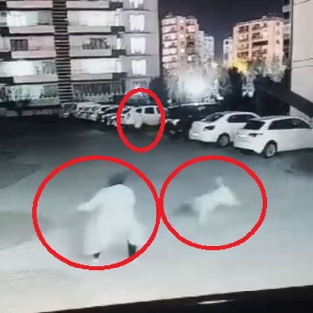 Siteye giren sokak köpeği, anne ve çocuğuna saldırdı; olay kamerada