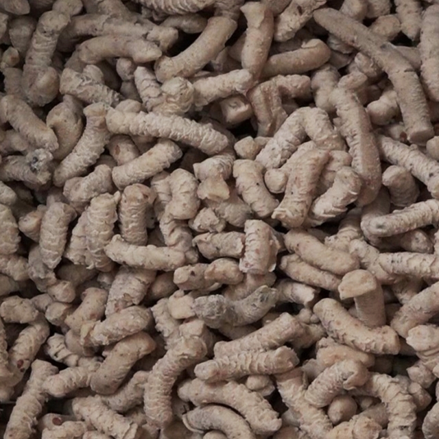 Bilecik'te bayat ekmek ve yemek artıklarından mama üretiliyor