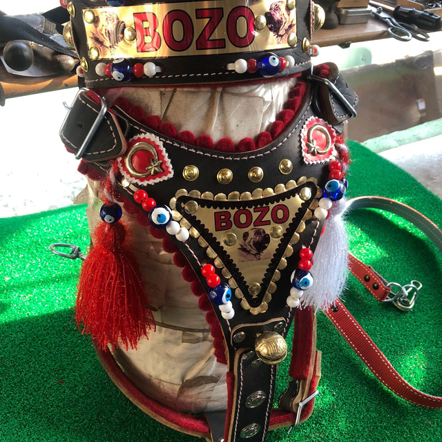 Ürettiği köpek tasmalarına yurt dışından da talep alıyor