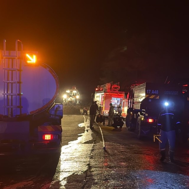 Gökçeada'da otluk yangını kontrol altına alındı