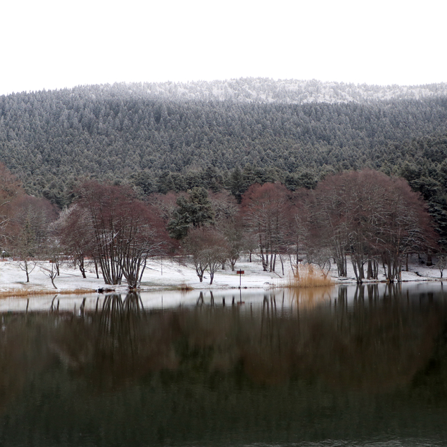 Gölcük Tabiat Parkı'nda kar güzelliği