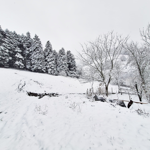 Yakakent ilçesinde kar yağışı etkili oldu