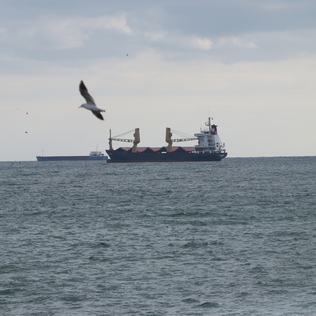 Tekirdağ'da deniz ulaşımına poyraz engeli