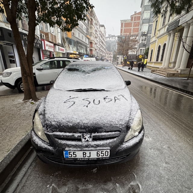 Samsun'da kar yağışı etkili oluyor
