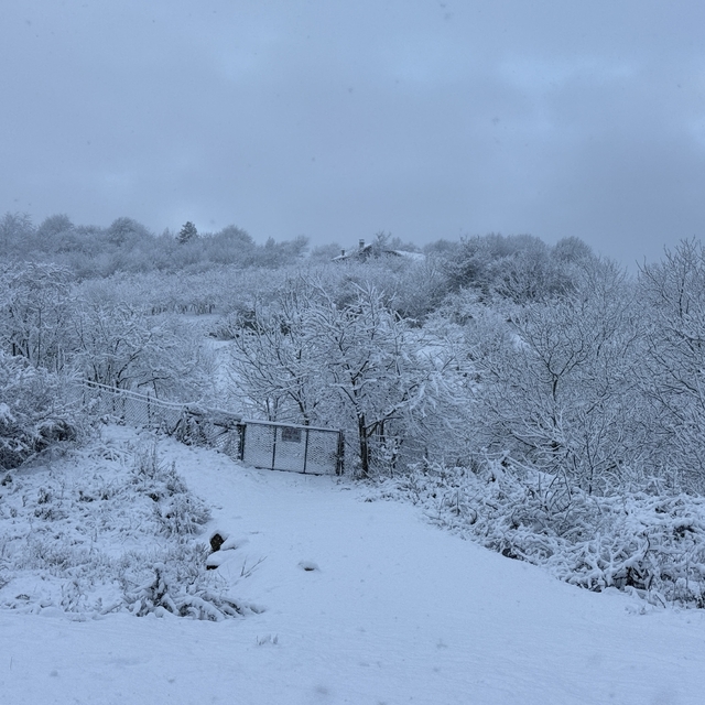 Bartın'da kar yağışı