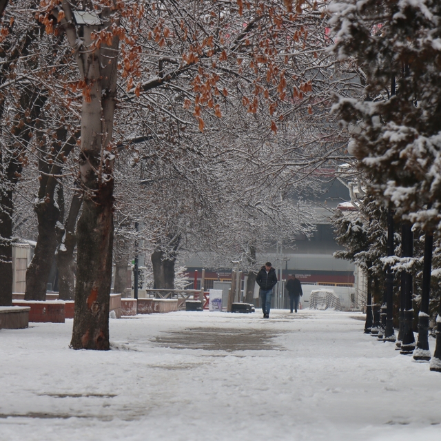 Doğu Anadolu Bölgesi'nde beklenen kar yağışı başladı
