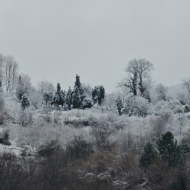 Zonguldak'ın yüksek kesimlerinde kar yağışı