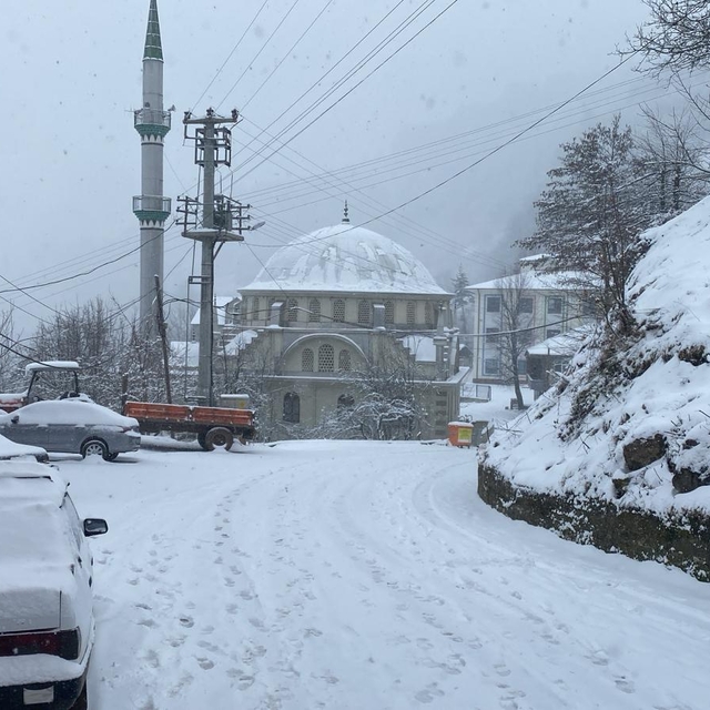 Sakarya ve çevre illerin yüksek kesimlerinde kar etkili oldu