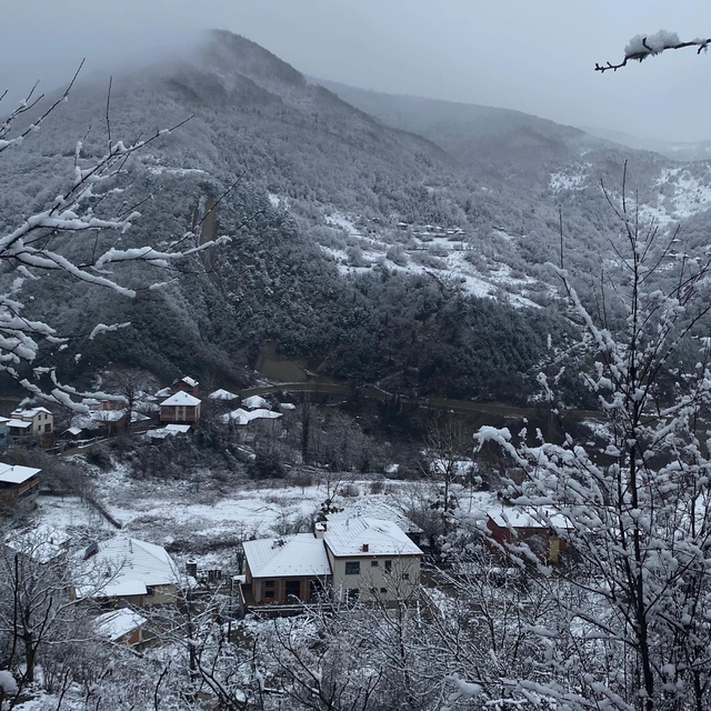 Türkeli'de kar yağışı etkili oldu