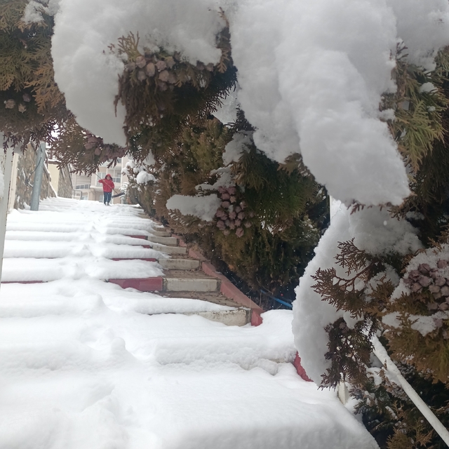 Sivas'ın ilçelerinde kar yağışı etkili oluyor